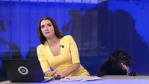 Try Not To Laugh When You See These TV Anchors Caught Off Guard!