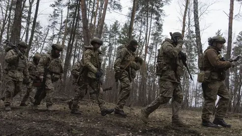 Вітер наробив лиха: у Києві негода повалила дерева та зірвала дахи 